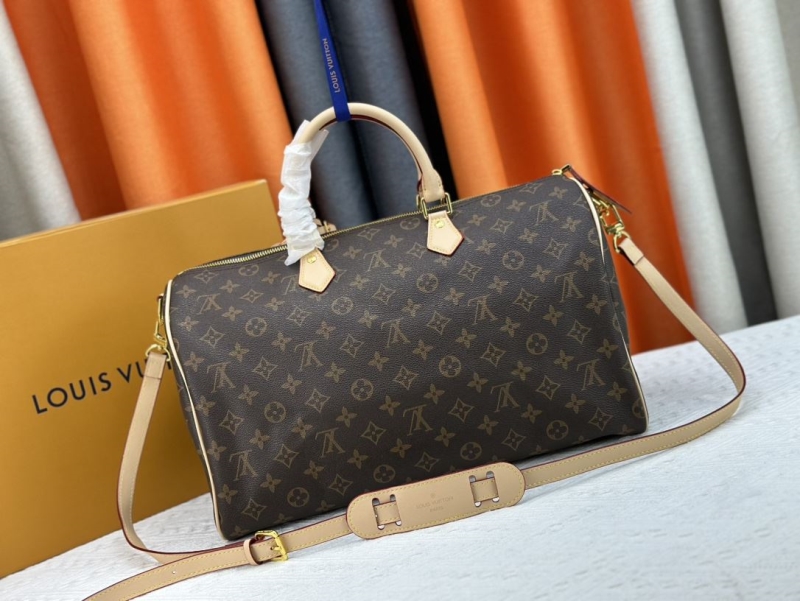 LV Travel Bags